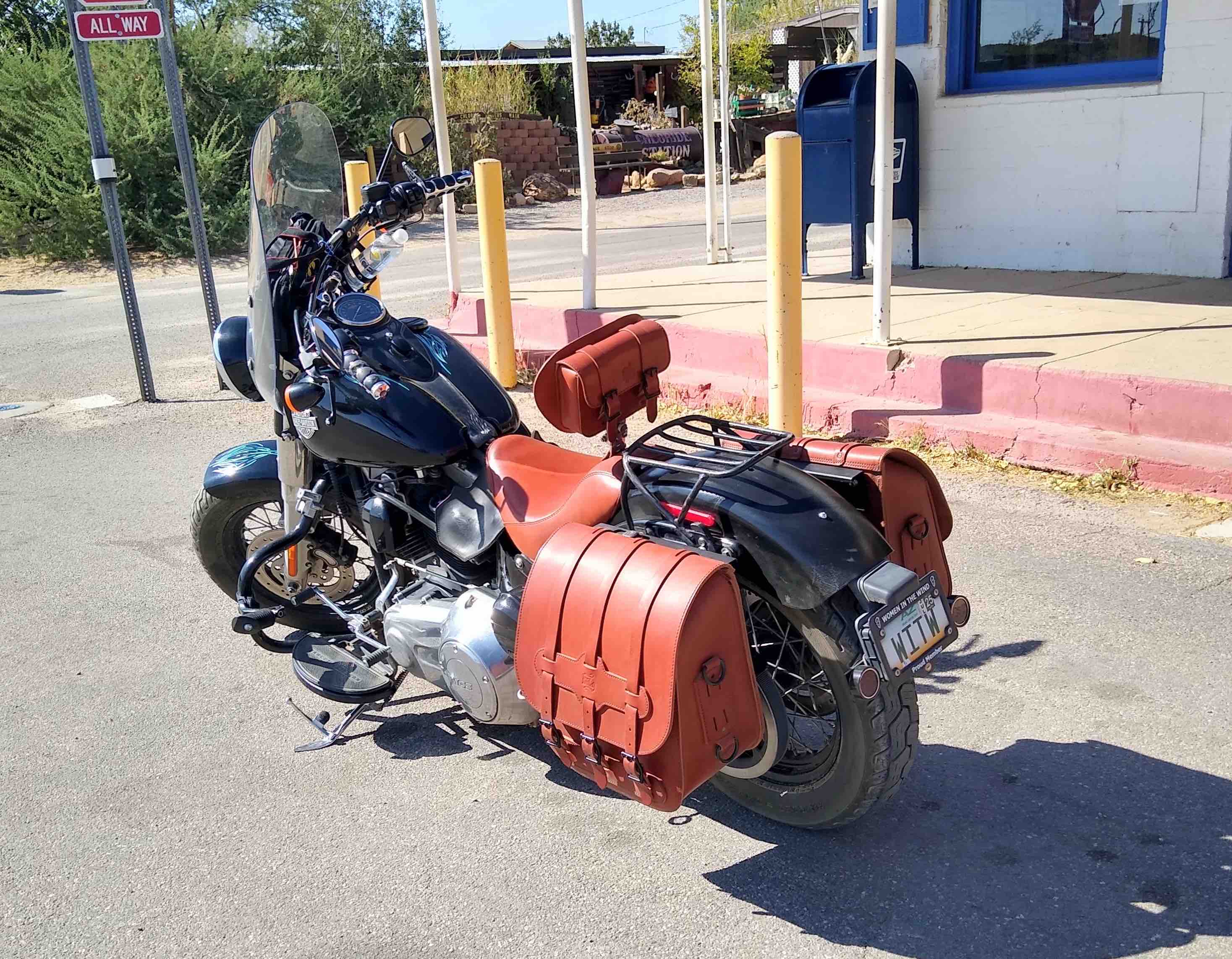 Harley-Davidson Softail Steer Hide Custom Seat Backrest and Saddlebags